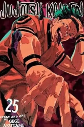 Jujutsu kaisen vol 25(paperback)