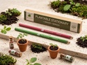 Plantable Seed Pencils – 2 Pencils per Box | Eco-Friendly Stationery | Perfect for School Distribution, Return Gifts & Corporate Gifting